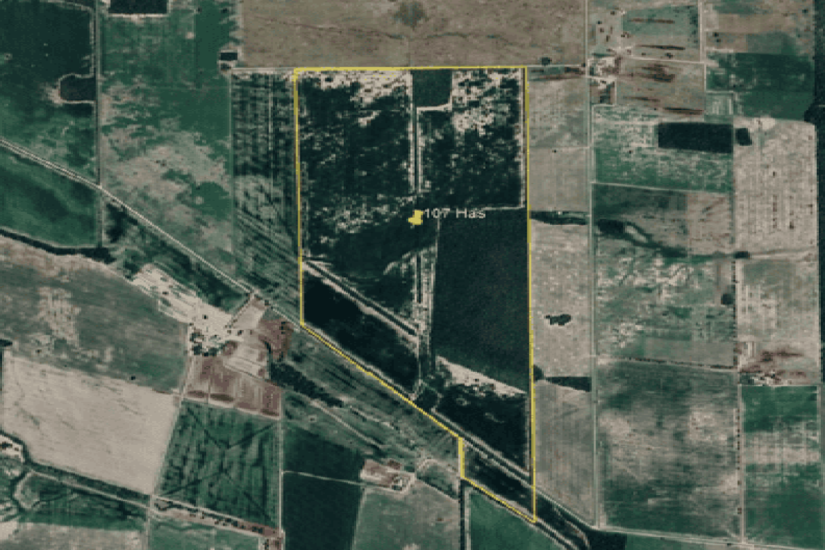 Campo 107 has, San Justo, Córdoba, 0 , 0 ,0,Campo,VENTA,Campo 107 has, San Justo, Córdoba,0,1005