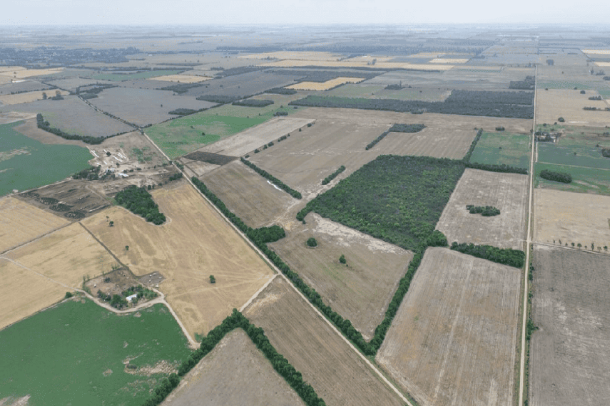 Campo 107 has, San Justo, Córdoba, 0 , 0 ,0,Campo,VENTA,Campo 107 has, San Justo, Córdoba,0,1005