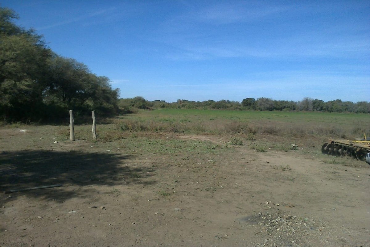 Campo 82 has, Media Naranja, Cruz Eje, Córdoba, 0 , 0 ,0,Campo,VENTA,Campo 82 has, Media Naranja, Cruz Eje, Córdoba,0,1007