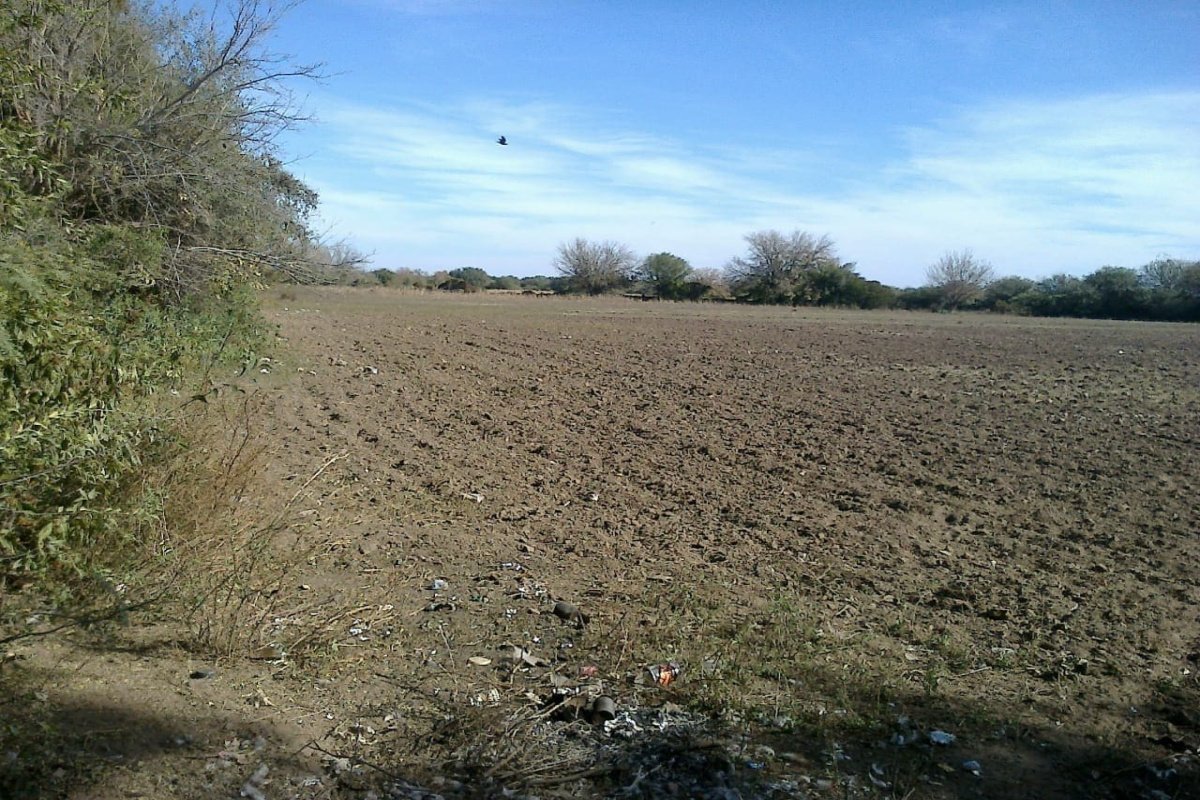 Campo 82 has, Media Naranja, Cruz Eje, Córdoba, 0 , 0 ,0,Campo,VENTA,Campo 82 has, Media Naranja, Cruz Eje, Córdoba,0,1007