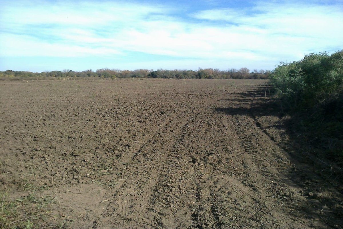 Campo 82 has, Media Naranja, Cruz Eje, Córdoba, 0 , 0 ,0,Campo,VENTA,Campo 82 has, Media Naranja, Cruz Eje, Córdoba,0,1007